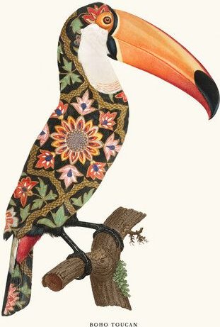 Photocircle Wandbild / Kunstdruck / Poster / Leinwand - Boho Toucan