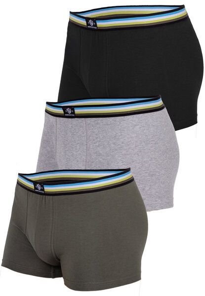 Haasis Bodywear Herren Pants 3er Pack ohne Eingriff, Single Jersey,