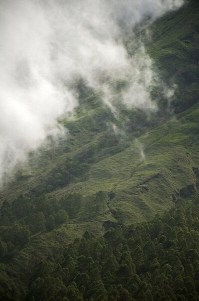 Photocircle Poster / Leinwandbild - hiking through GREENS & CLOUDS