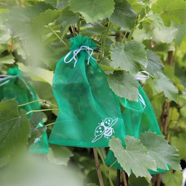 Andermatt Biogarten Trauben-Schutztaschen – Schutzbeutel gegen zufliegende Insekten und Vogelfraß an Trauben