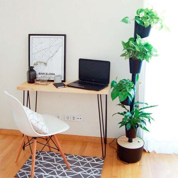 CitySens Vertikaler Blumentopf mit 4 luftreinigenden Pflanzen