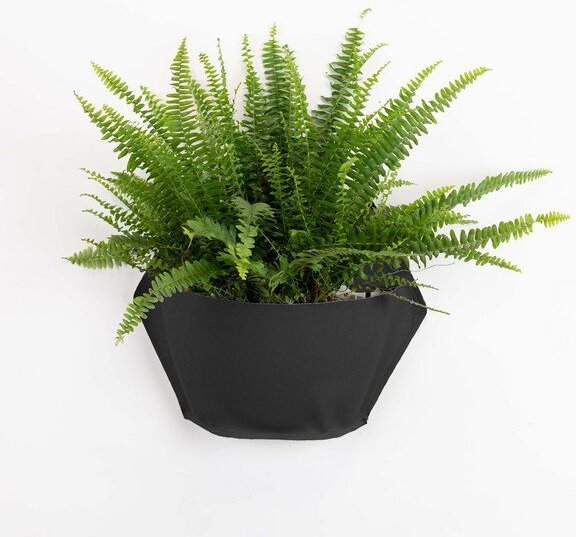 CitySens Packung mit 3 Bunten Wand-Blumentöpfen aus hochwertigen Altstoffen