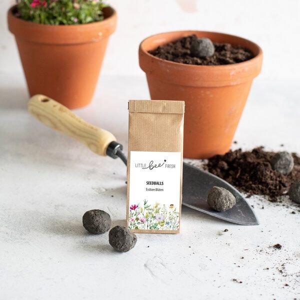 little bee fresh 6 Stück Seedballs – Essbare Blüten