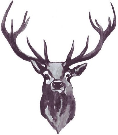 Photocircle Poster / Leinwandbild - Mantika Mountain Love Hirsch