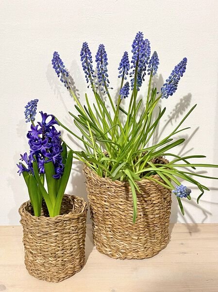 Originalhome Hogla Körbe rund in 3 Größen fairtrade