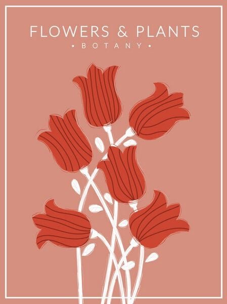 Photocircle Poster / Leinwandbild - Red Flowers - Botany no3