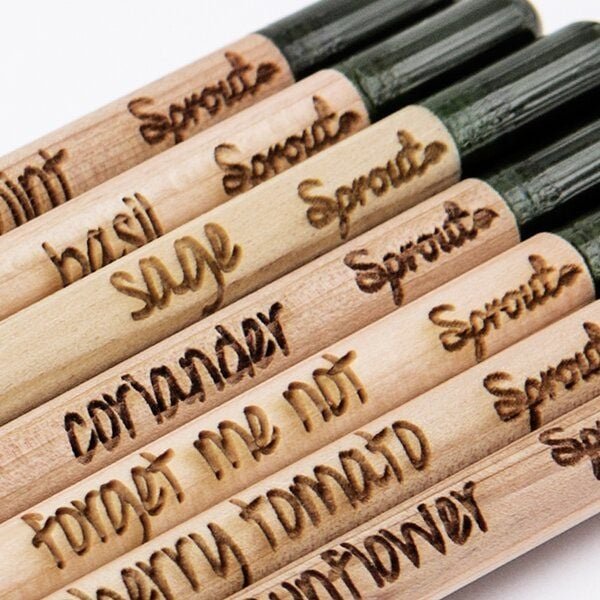 Sprout 7 Blei- und Buntstifte zum Einpflanzen
