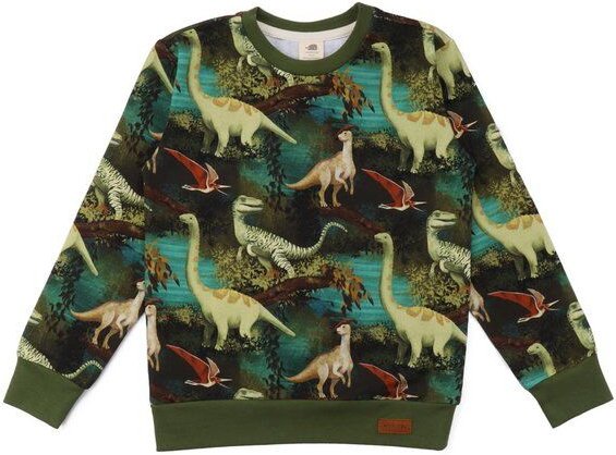 Kinder Sweatshirt GOTS zertifiziert, „Dinosaur Jungle“ Allover, grün, weich & elastisch – Walkiddy