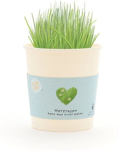 Die Stadtgärtner Herzrasen Anzuchtset als romantisches Geschenk | Nachhaltige Geschenkidee für Valentinstag, Liebesbotsc...