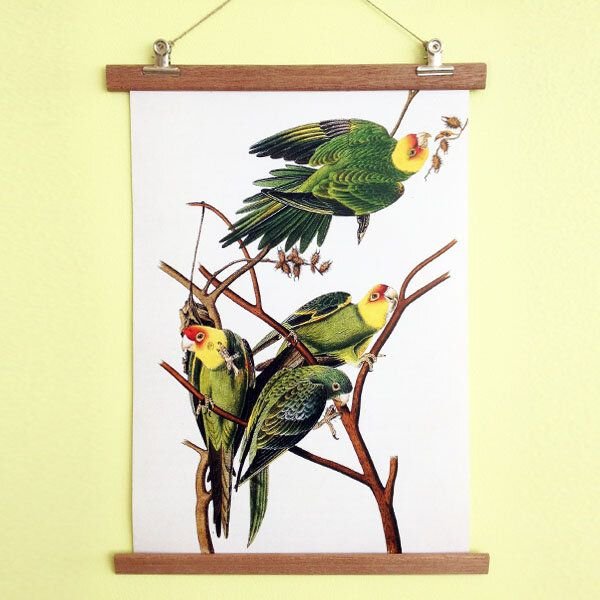 all the things we like Poster Birdies mit Aufhängung