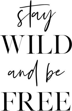 Photocircle Poster / Leinwandbild - Stay Wild and Be Free