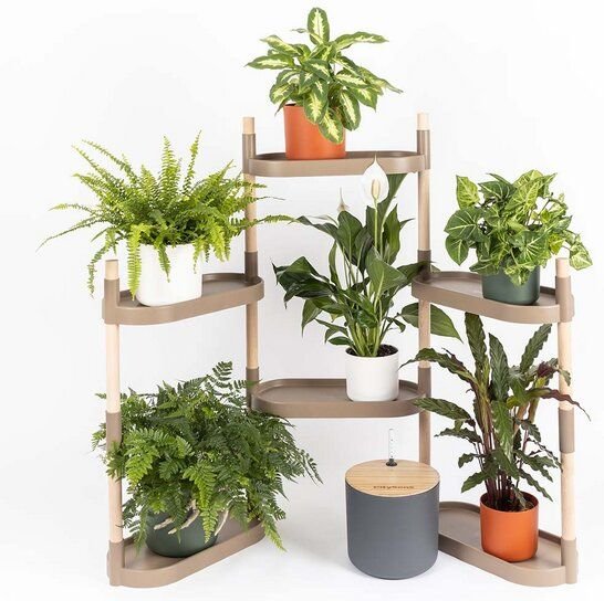 CitySens Blumenregal mit 6 Ablagen und automatischer Bewässerung.