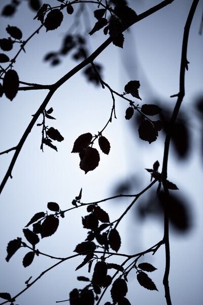 Photocircle Poster / Leinwandbild - Break Of Dawn