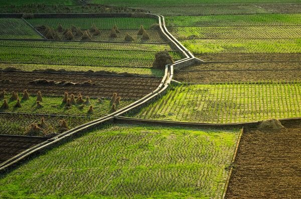 Photocircle Poster / Leinwandbild - Last Light