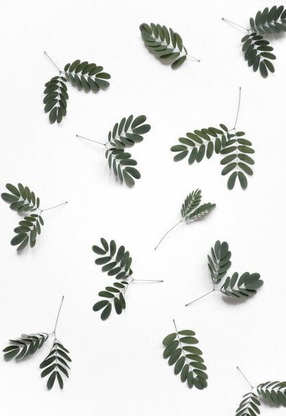 Photocircle Poster / Leinwandbild - The beauty of mother nature