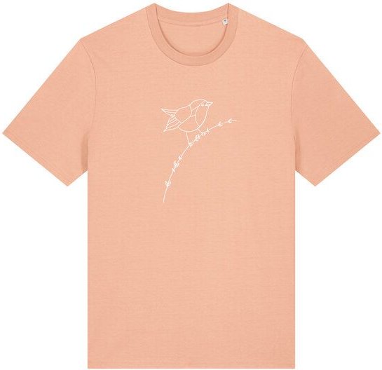Brandless Basic Bio Unisex T-Shirt Rotkehlchen 180g/m² XXS - 3 XL