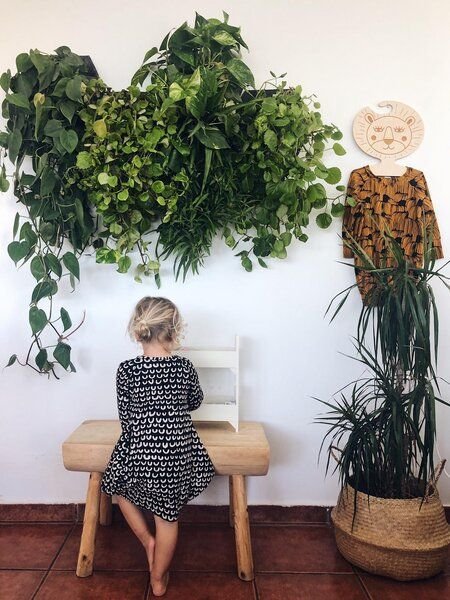 CitySens 6er-Pack Wand-Blumentopf mit Textilbezug