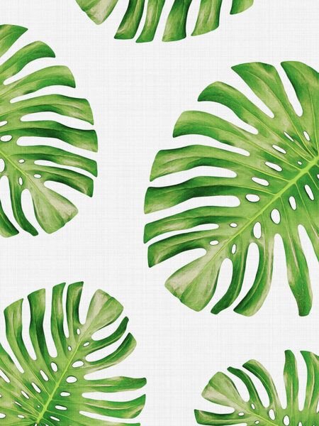 Photocircle Poster / Leinwandbild - Tropical Monstera