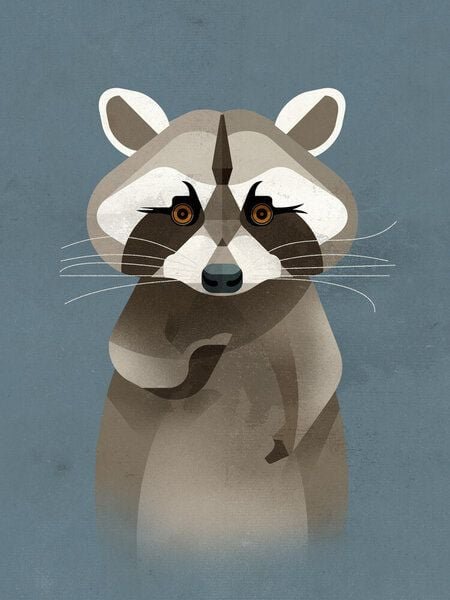 Photocircle Poster / Leinwandbild - Waschbär