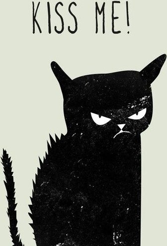 Photocircle Poster / Leinwandbild - Kiss me Cat
