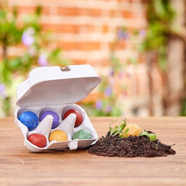 Osterblumen von "Die Stadtgärtner" | 6 bunte Blumenmurmeln im Mini-Eierkarton