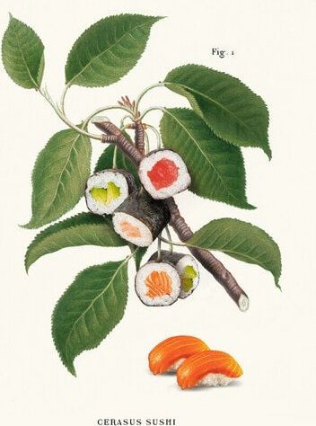 Photocircle Wandbild / Kunstdruck / Poster / Leinwand - Sushi Plant