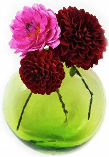 Mitienda Shop Blumenvase zum Aufhängen, Wanddeko Anfora