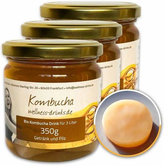 Wellness-Drinks Bio Kombucha Drink mit Teepilz (groß)