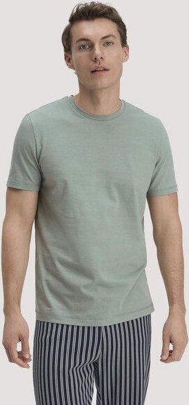 hessnatur T-Shirt Regular PURE COTTON