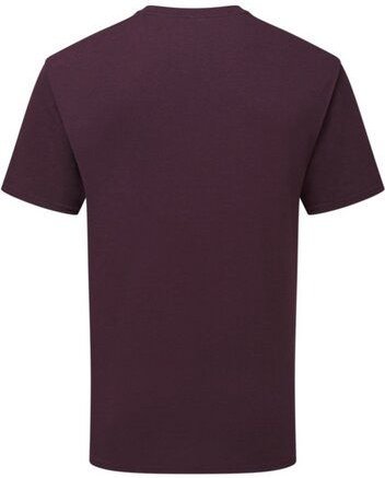 Fruit of the Loom Unisex T-Shirt mit Rundhals aus Bio - Baumwolle 15 Farben bis Größe 3XL