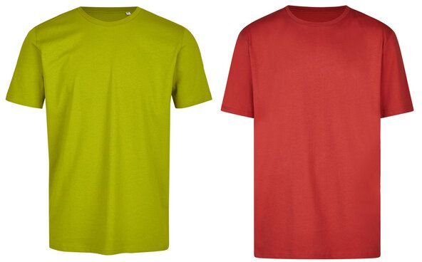 Brandless Basic Bio T-Shirt (Men Nr.3 ) Doublepack GOTS