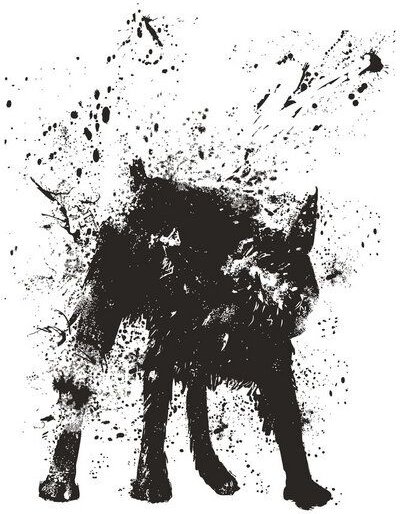 Photocircle Poster / Leinwandbild - Wet dog