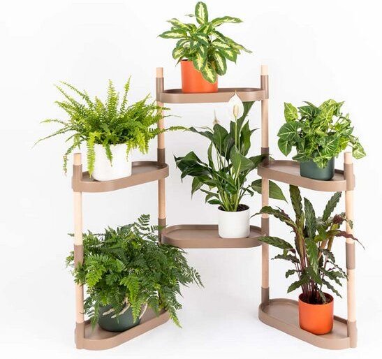 CitySens Blumenregal mit 6 Ablagen und luftreinigenden Pflanzen.