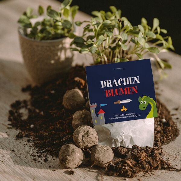 Ideenverlag Hamburg 10 „Drache & Ritter“ Samenbomben im Tütchen mit Wildblumensaatgut | Nachhaltiges Mitgebsel für Kinde...
