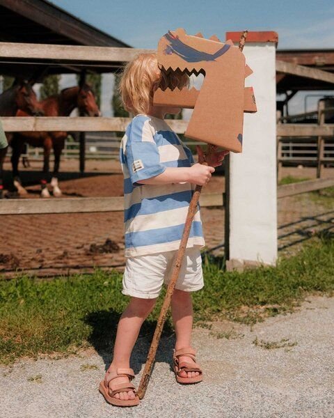 Papperlapapp Steckendino *Roary*