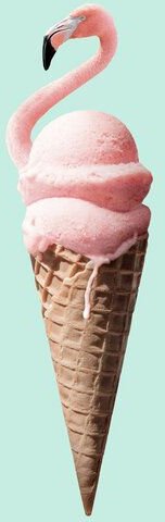 Photocircle Wandbild / Kunstdruck / Poster / Leinwand - Flamingo Eis