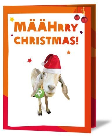OxfamUnverpackt Spenden-Geschenk "Ziege" (Weihnachtskarte mit Magnet)