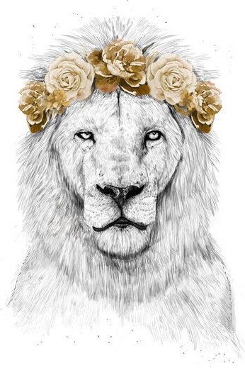 Photocircle Poster / Leinwandbild - Festival lion