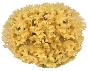 Thumbnail - Croll & Denecke Naturschwamm in 3 Größen