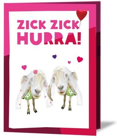 OxfamUnverpackt Spenden-Geschenk "Ziegenpärchen sie & sie" (Grußkarte mit Magnet)