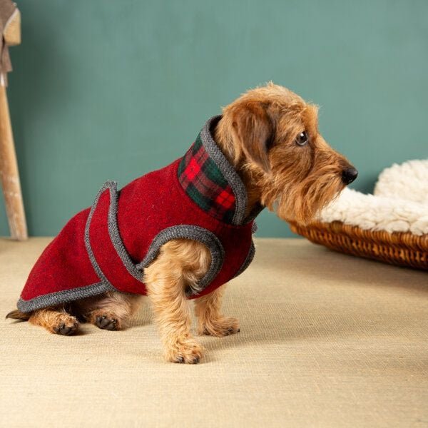 nahtur-design Hundemantel für Dackel | handgefertigt | 100% Schurwolle