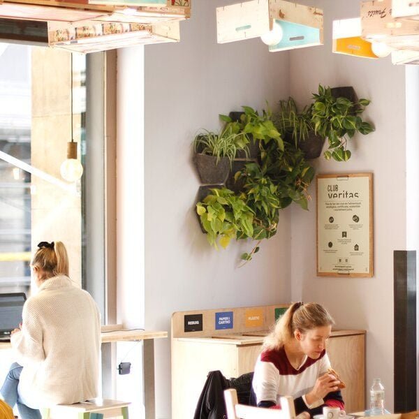 CitySens 6er-Pack Wand-Blumentopf mit Textilbezug und automatische Bewässerung