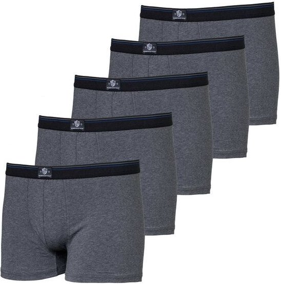 Haasis Bodywear Herren Pants 5er Pack ohne Eingriff, Single Jersey,