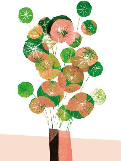 Photocircle Poster / Leinwandbild - Pilea in der Vase