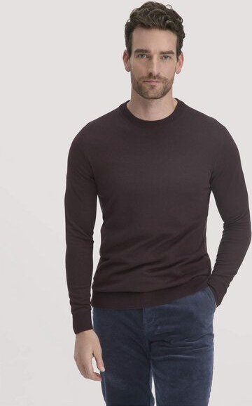 hessnatur Strick Pullover Regular aus reiner Bio-Merinowolle