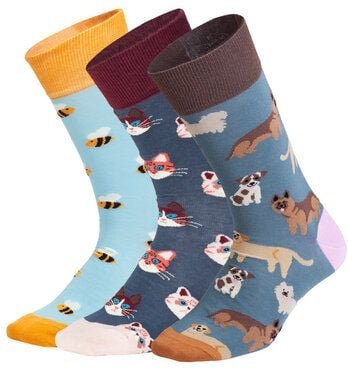 DillySocks Socken „Cute Animal Crew (3er Box)“