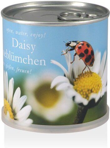 MacFlowers Pflanzen in der Dose - Gänseblümchen