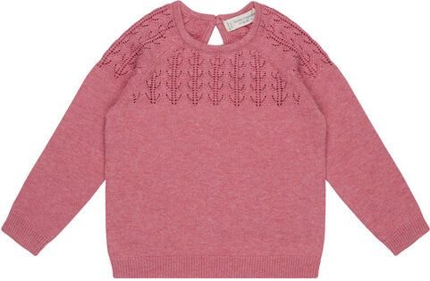 sense-organics Baby Strickpulli mit Spitze *Honovi* GOTS | Sense Organics
