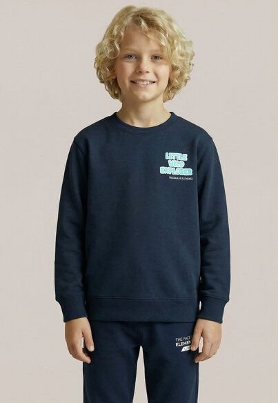 THE FACE OF ELEMENTS LITTLE WILD EXPLORER - RELAXED FIT KIDS SWEATSHIRT AUS 100% BIO-BAUMWOLLE