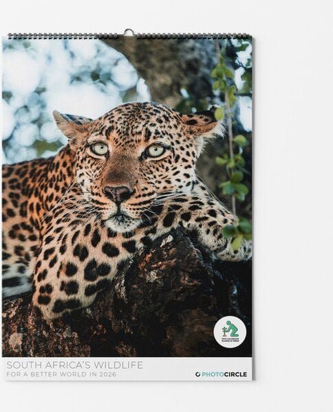 Photocircle Südafrikas Wildnis Kalender 2026 mit Tierfotografie von Lea Milde